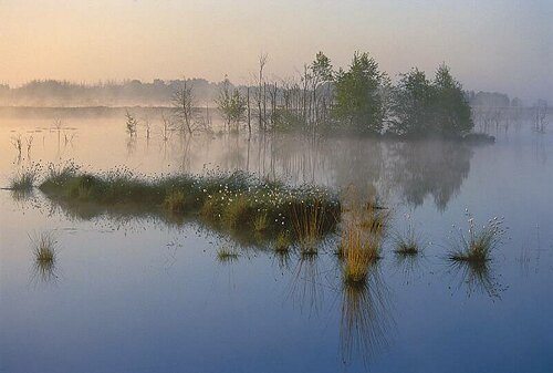 MorgenstimmungimGoldenstedterMoorMai2001fuer13x18.tif